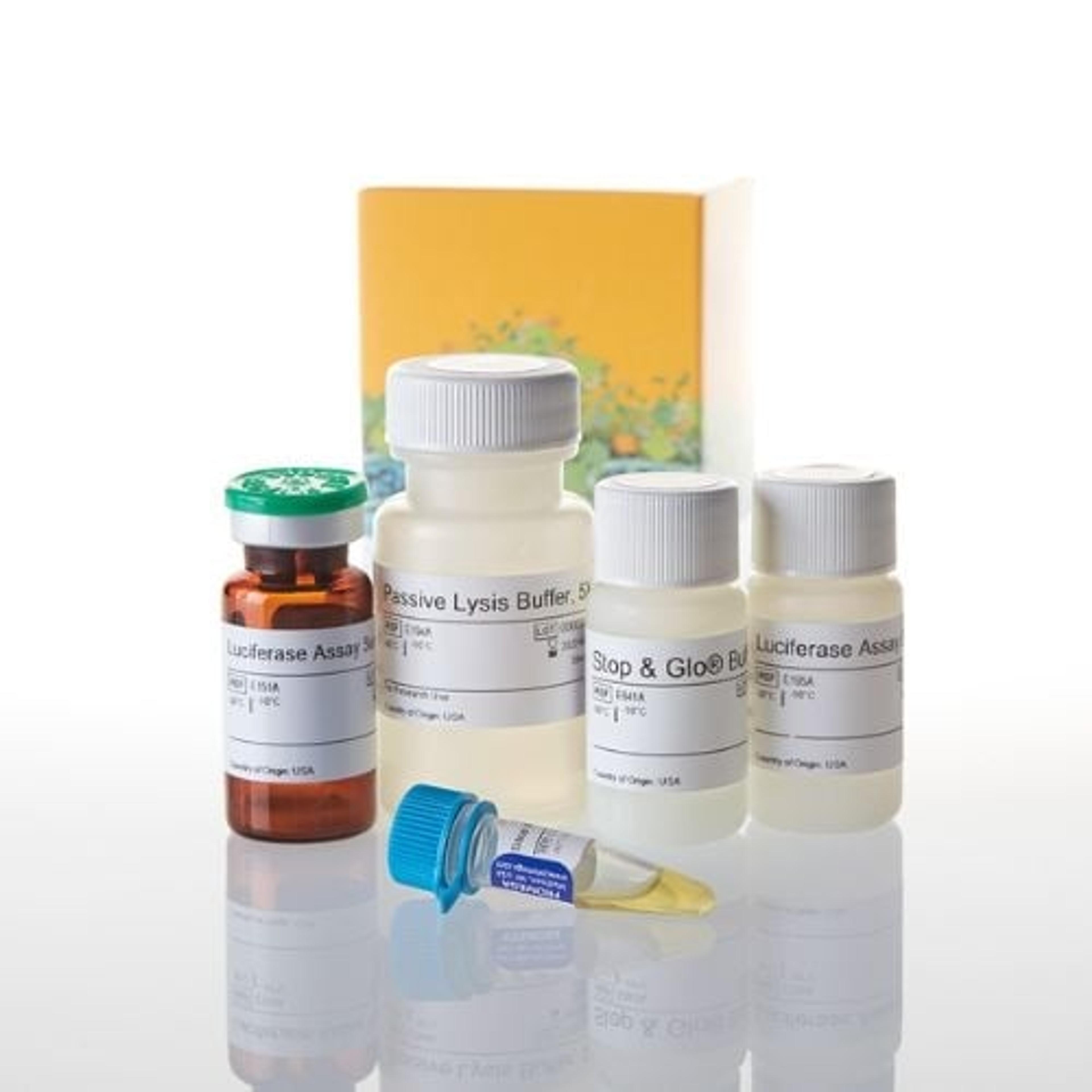 Dual-Luciferase ® Reporter Assay System - Promega Corp. - Life Sciences