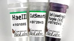 HaeIII - New England Biolabs Inc. - Life Sciences