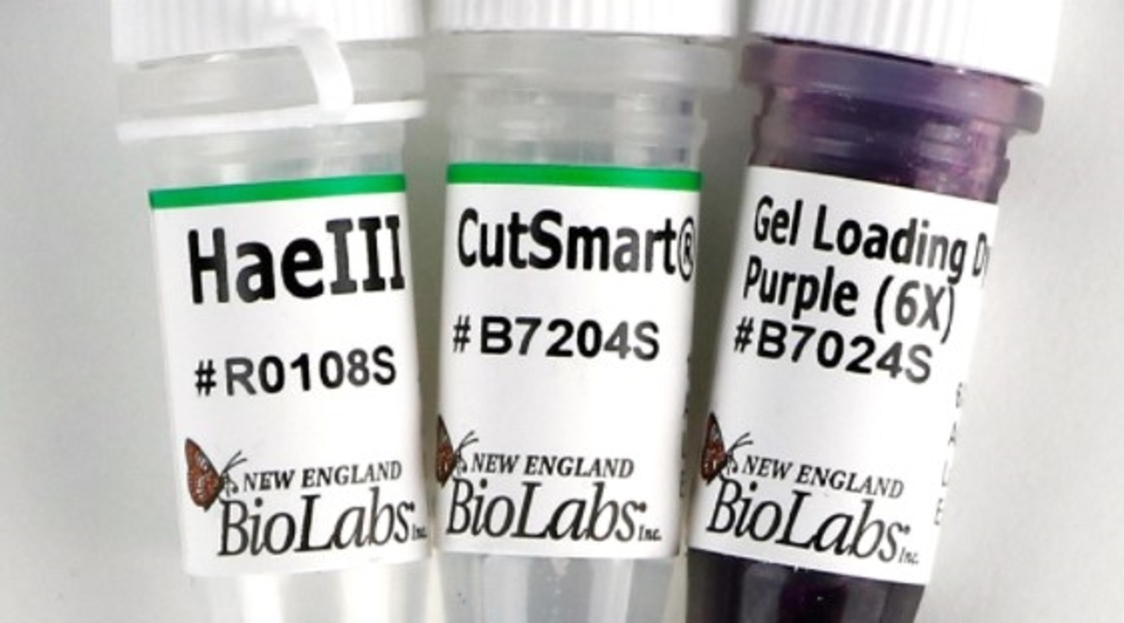 HaeIII - New England Biolabs Inc. - Life Sciences