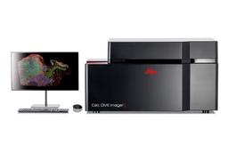 Multiplexed Imaging Solution Cell DIVE