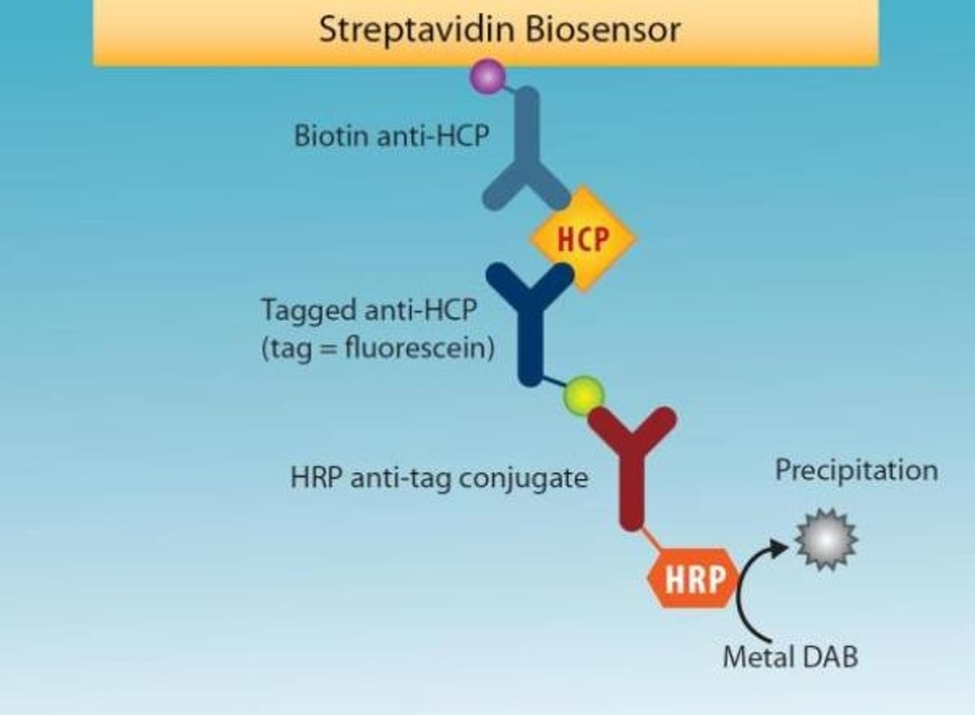 Detection Kit  – Anti-CHO HCP - Sartorius Group - Life Sciences
