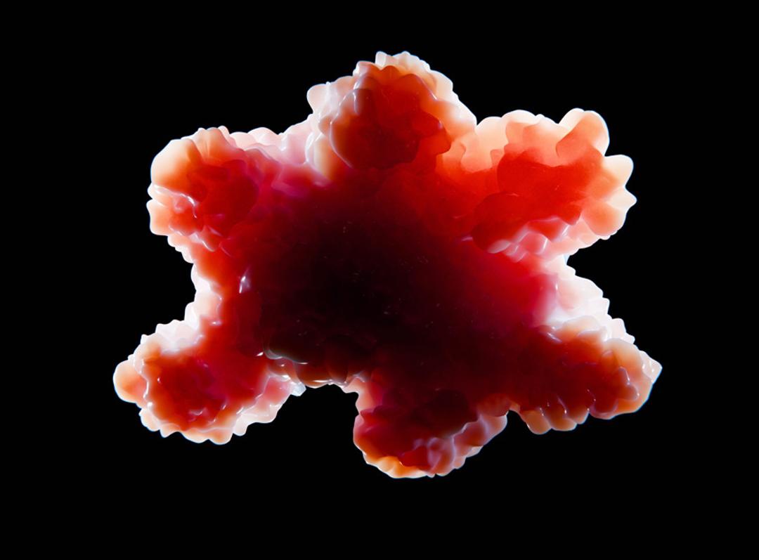 Cytokines for Organoid Culture - Creative BioMart - Life Sciences