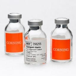 Corning Matrigel Matrix for Organoids - Corning Life Sciences - Life Sciences