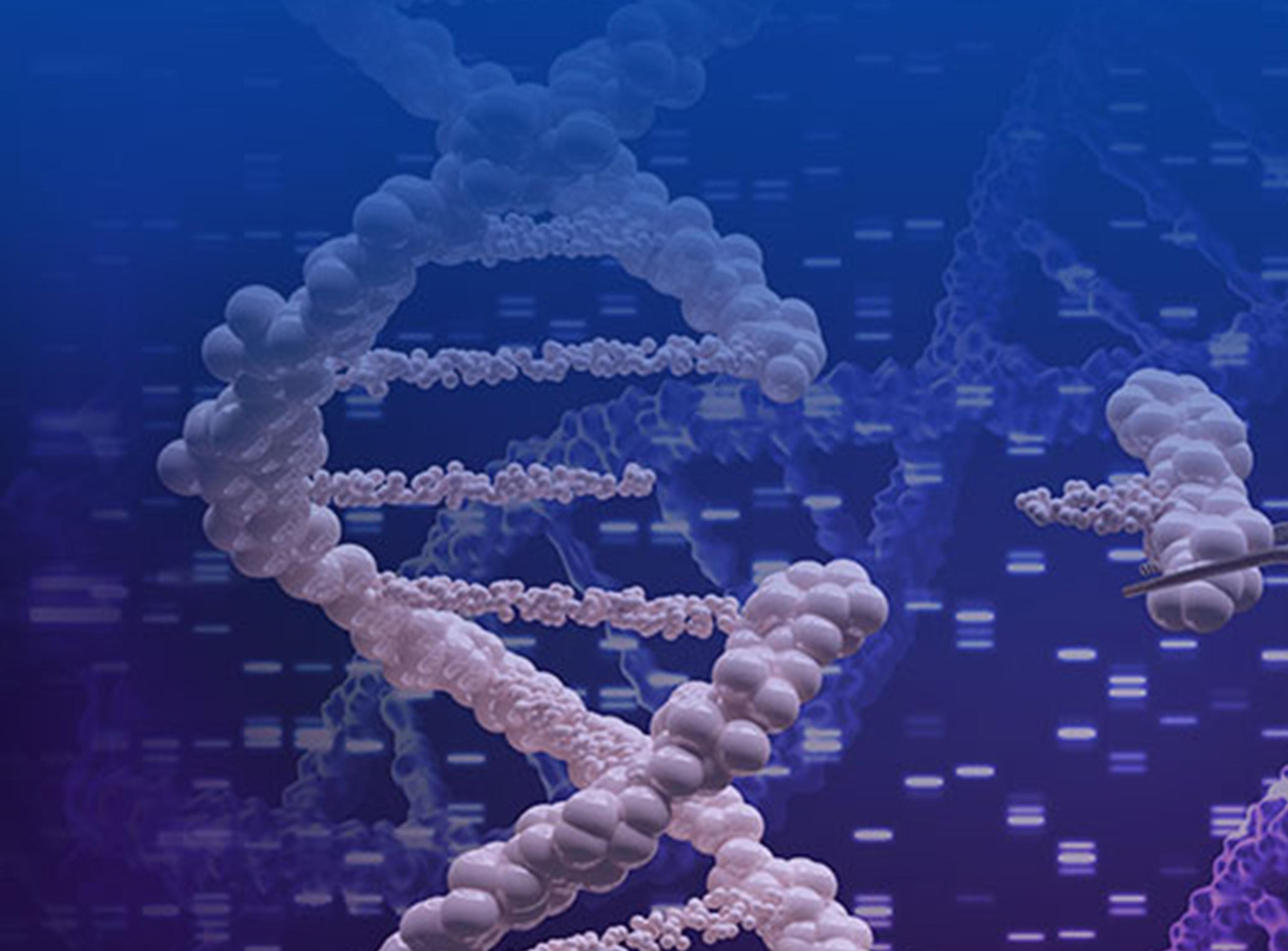 GenCRISPR cGMP HDR Knock-in Templates - GenScript - Life Sciences