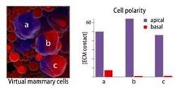 Multiscale Modeling of Cellular Proceses and Simulation - Endogenics - Lab Informatics
