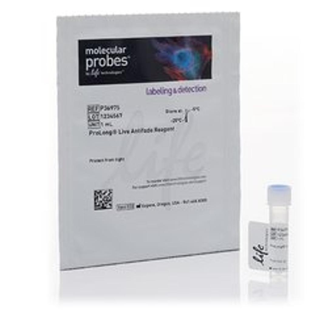 Invitrogen™ ProLong™ Live Antifade Reagent - Thermo Fisher Scientific