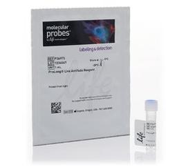 Invitrogen™ ProLong™ Live Antifade Reagent - Thermo Fisher Scientific