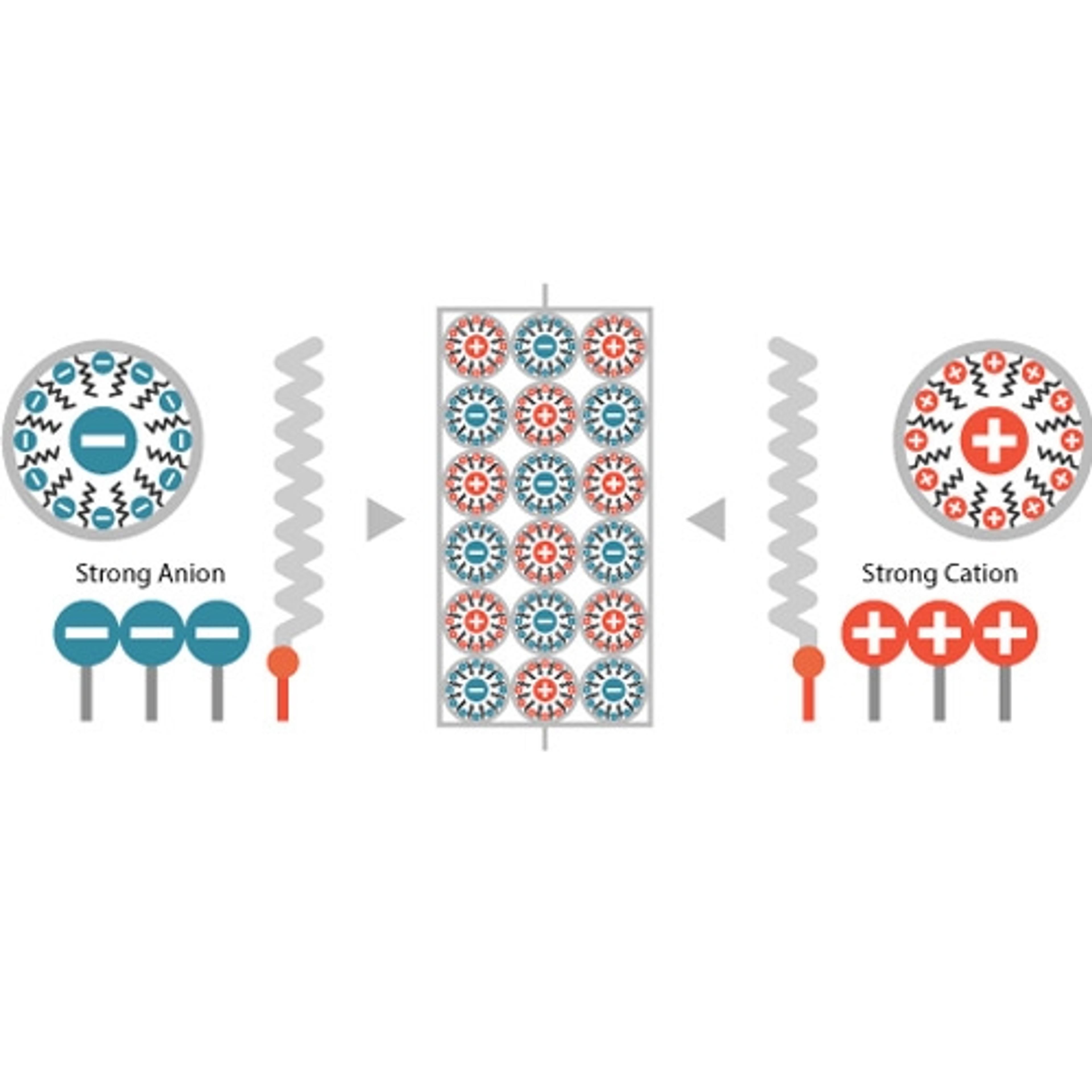 Scherzo SS-C18 Column - Imtakt - Separations