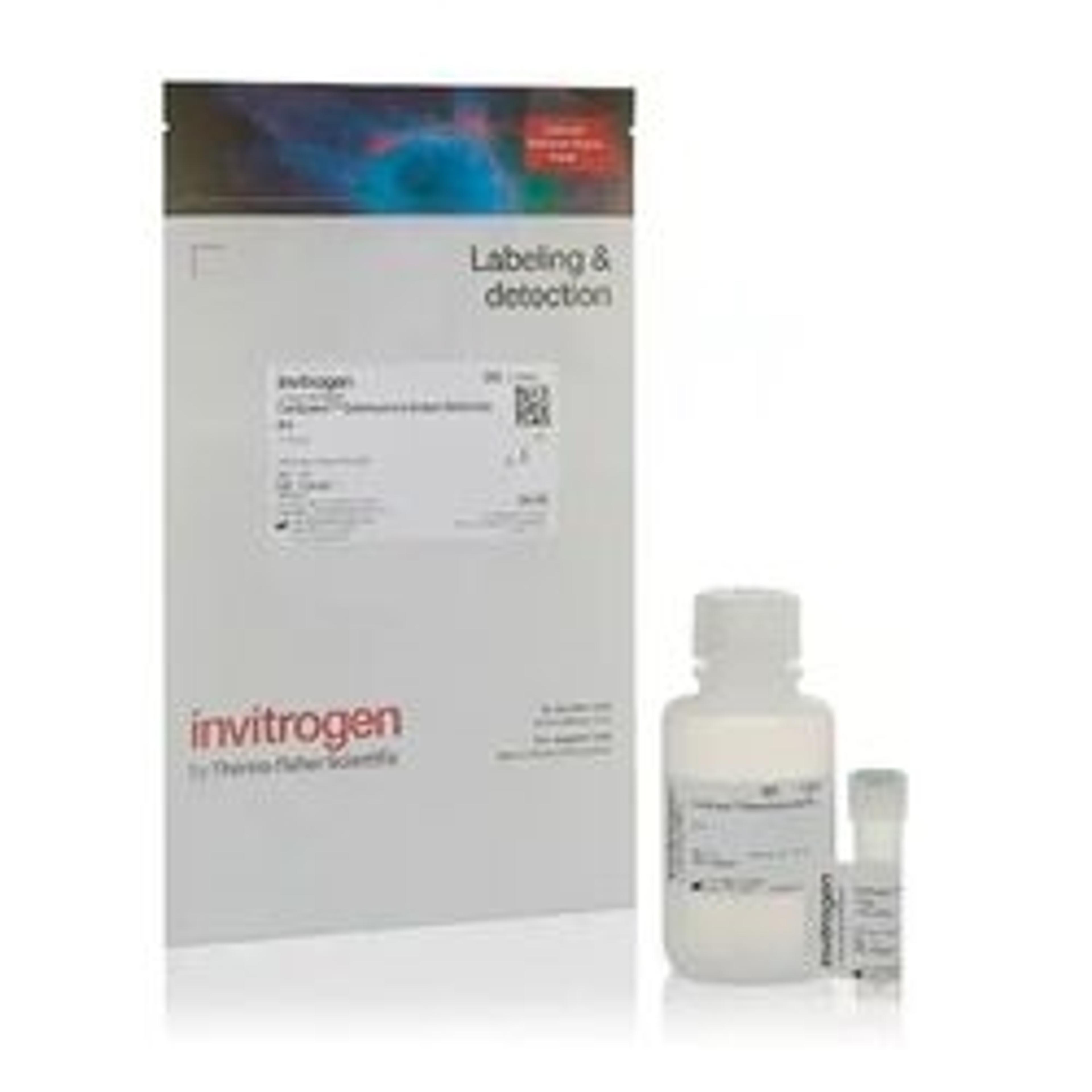 CellEvent™ Senescence Green Detection Kit - Thermo Fisher Scientific - Life Sciences