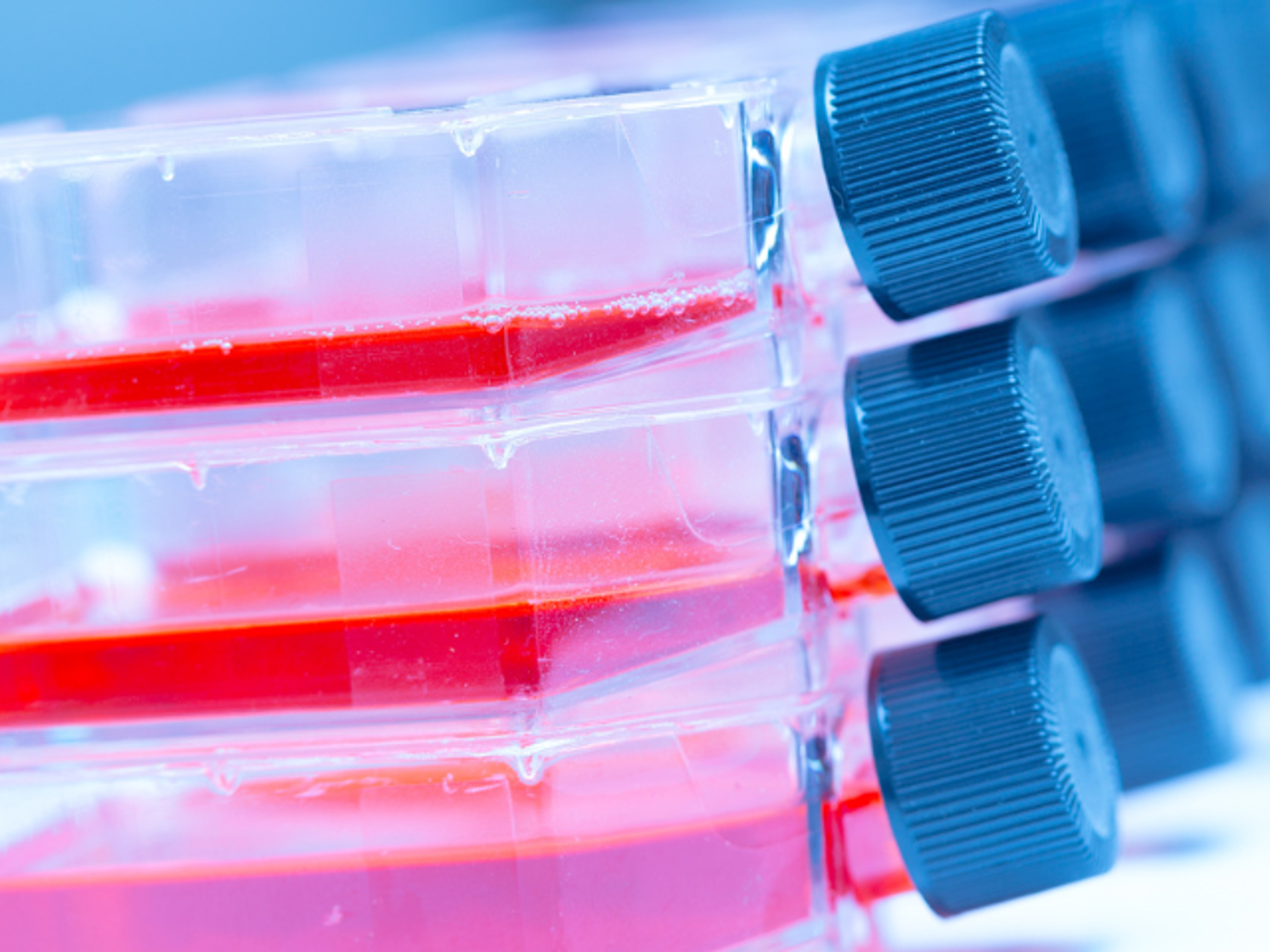 Screenshot of the SelectScience How to Buy Analytical Technology for Cell Line Development eBook front cover