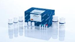 MagAttract HMW DNA Kit (48) - QIAGEN