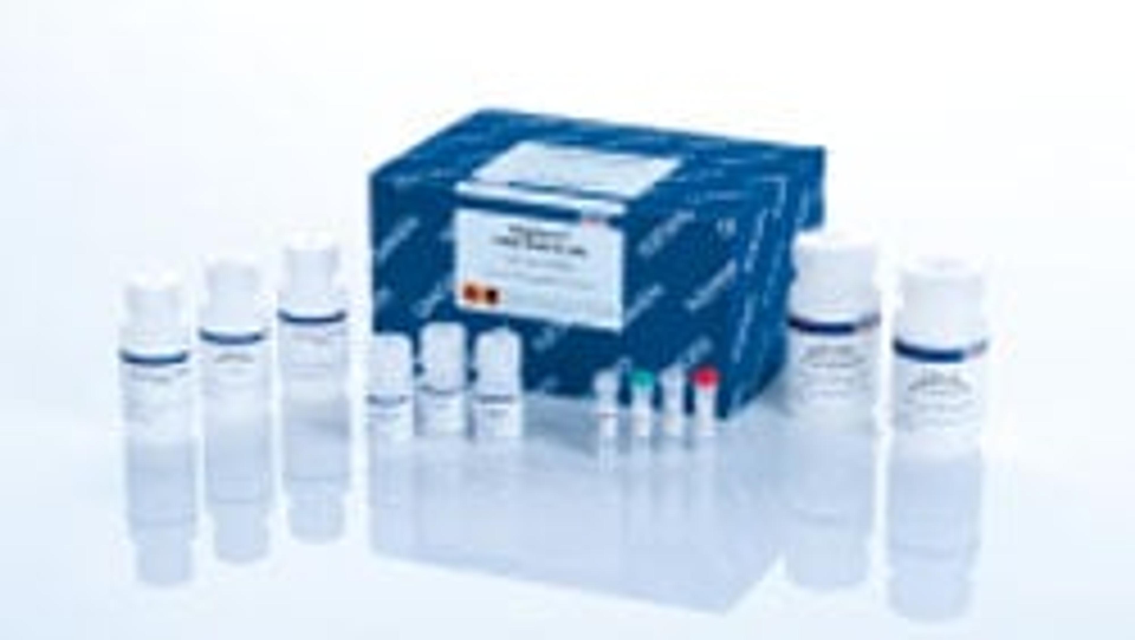 MagAttract HMW DNA Kit (48) - QIAGEN