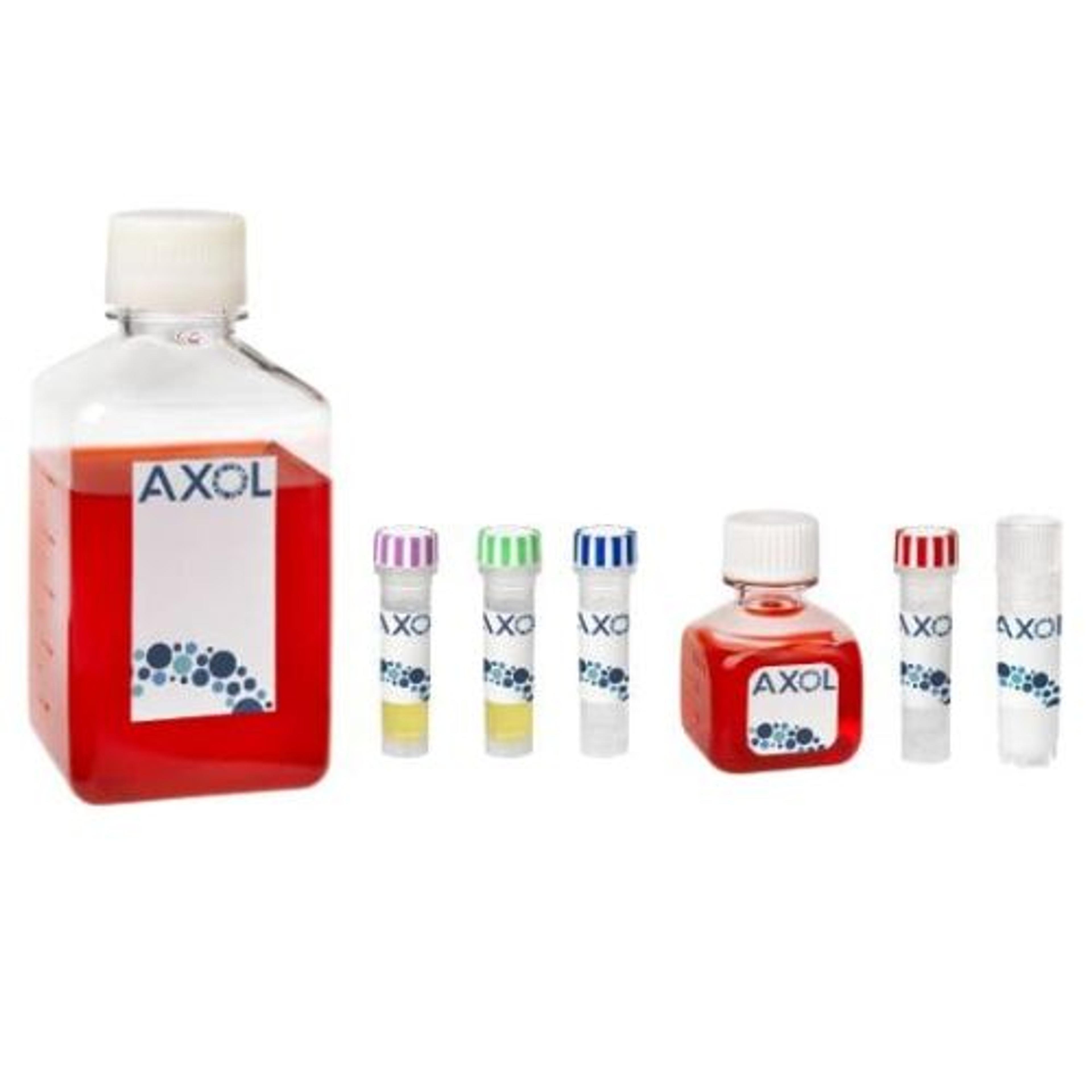 axoCells™ Human iPSC-Derived Cortical Neuron Cells, Media, Supplements and Coating kit, male donor,  ≥1.5 million cells - Axol Bioscience - Life Sciences