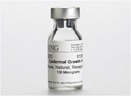 Corning® Epidermal Growth Factor (EGF), Mouse Natural (Receptor Grade), 100µg, 1/Pack - Corning Life Sciences - Life Sciences