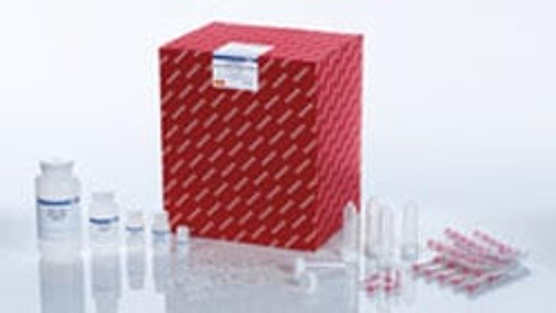 Buffer XE (45 ml) - QIAGEN