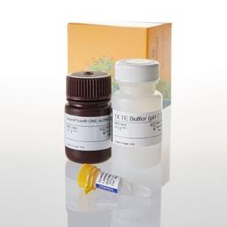 QuantiFluor® ONE dsDNA System - Promega Corp. - Life Sciences