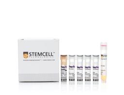 EasySep™ Release Mouse Biotin Positive Selection Kit - STEMCELL Technologies Inc. - Life Sciences