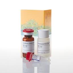 Proteasome-Glo™ Assays - Promega Corp. - Drug discovery > Lead Discovery