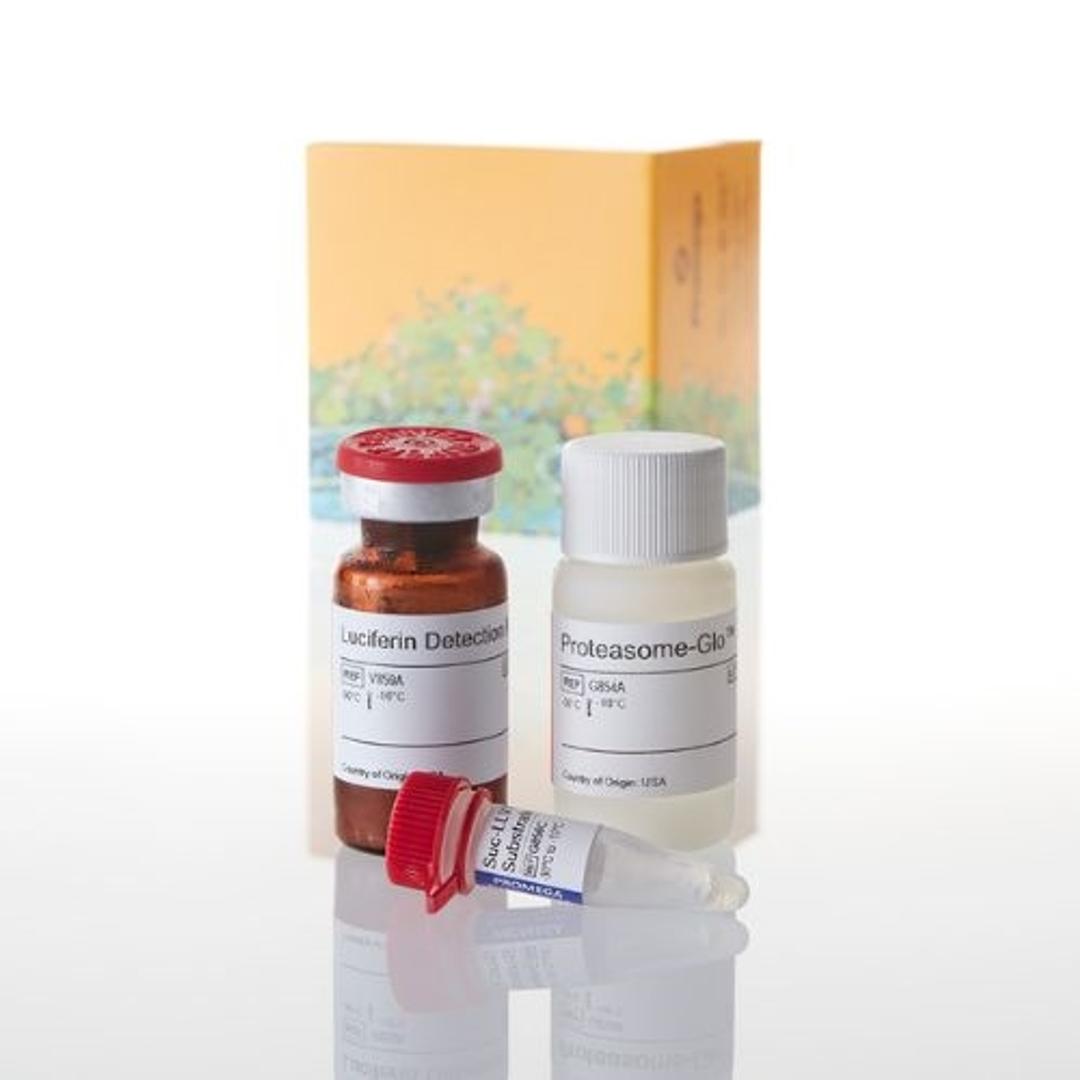 Proteasome-Glo™ Assays - Promega Corp. - Drug discovery > Lead Discovery