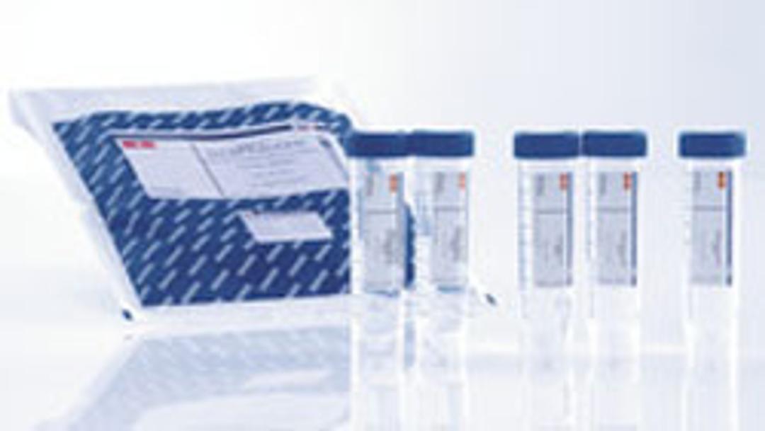 Type-it Fast SNP Probe PCR Kit (800) - QIAGEN