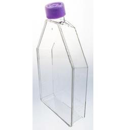 UltraCruz® Cell Culture Flasks with Vented Caps - Santa Cruz Biotechnology Inc. - Life Sciences