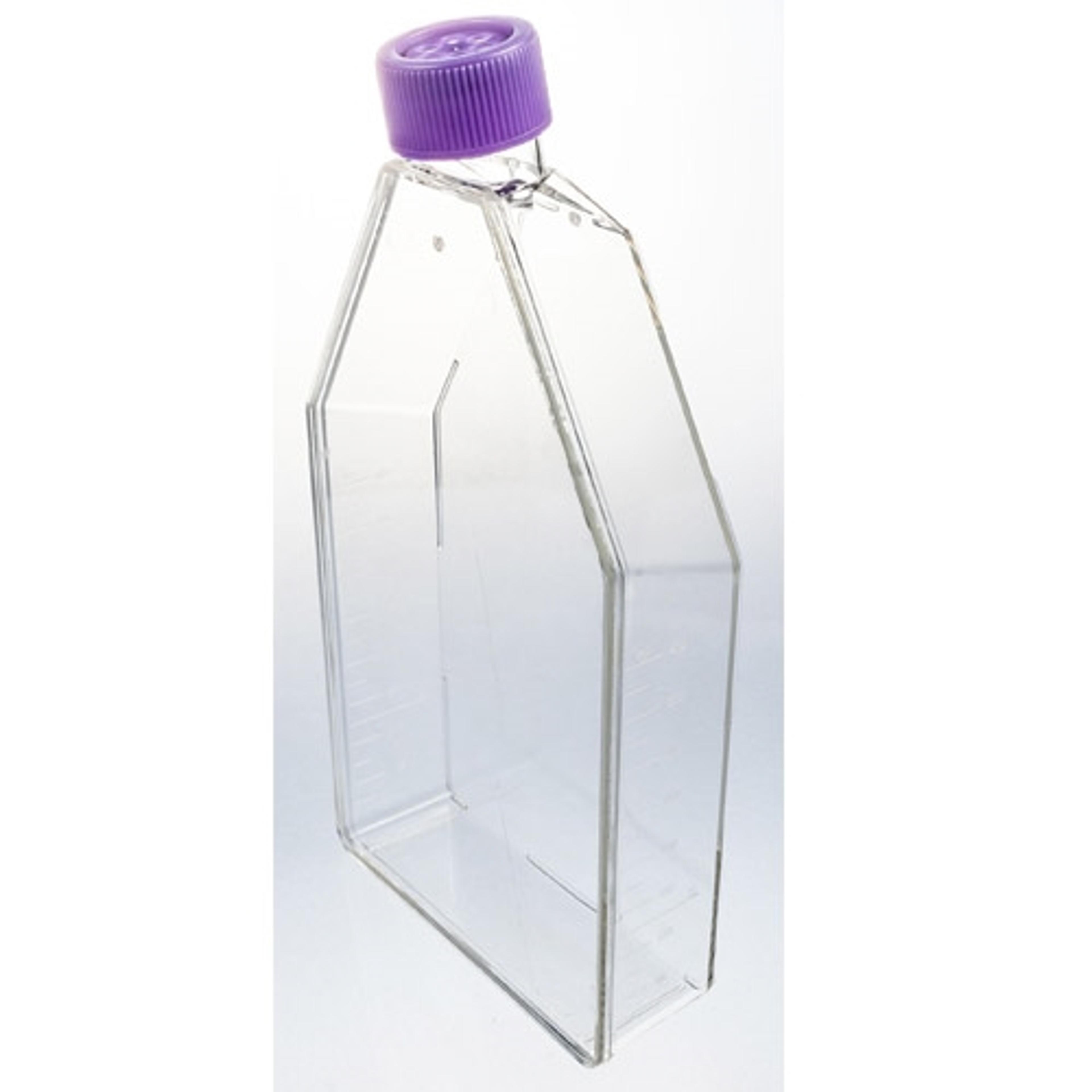 UltraCruz® Cell Culture Flasks with Vented Caps - Santa Cruz Biotechnology Inc. - Life Sciences