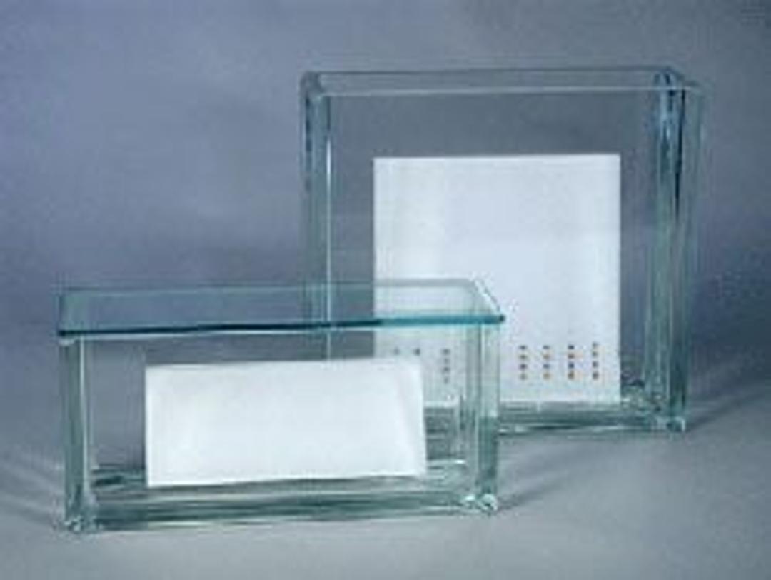 Glass Rectangular Developing Chamber for 20x20cm plates (with lid) - Analtech Inc. - Separations