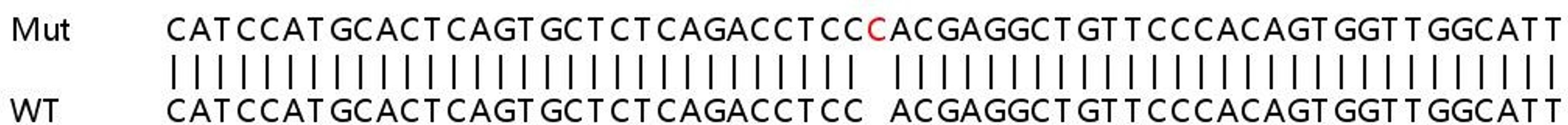 Sanger Seq - DAG1 knockout HEK293T