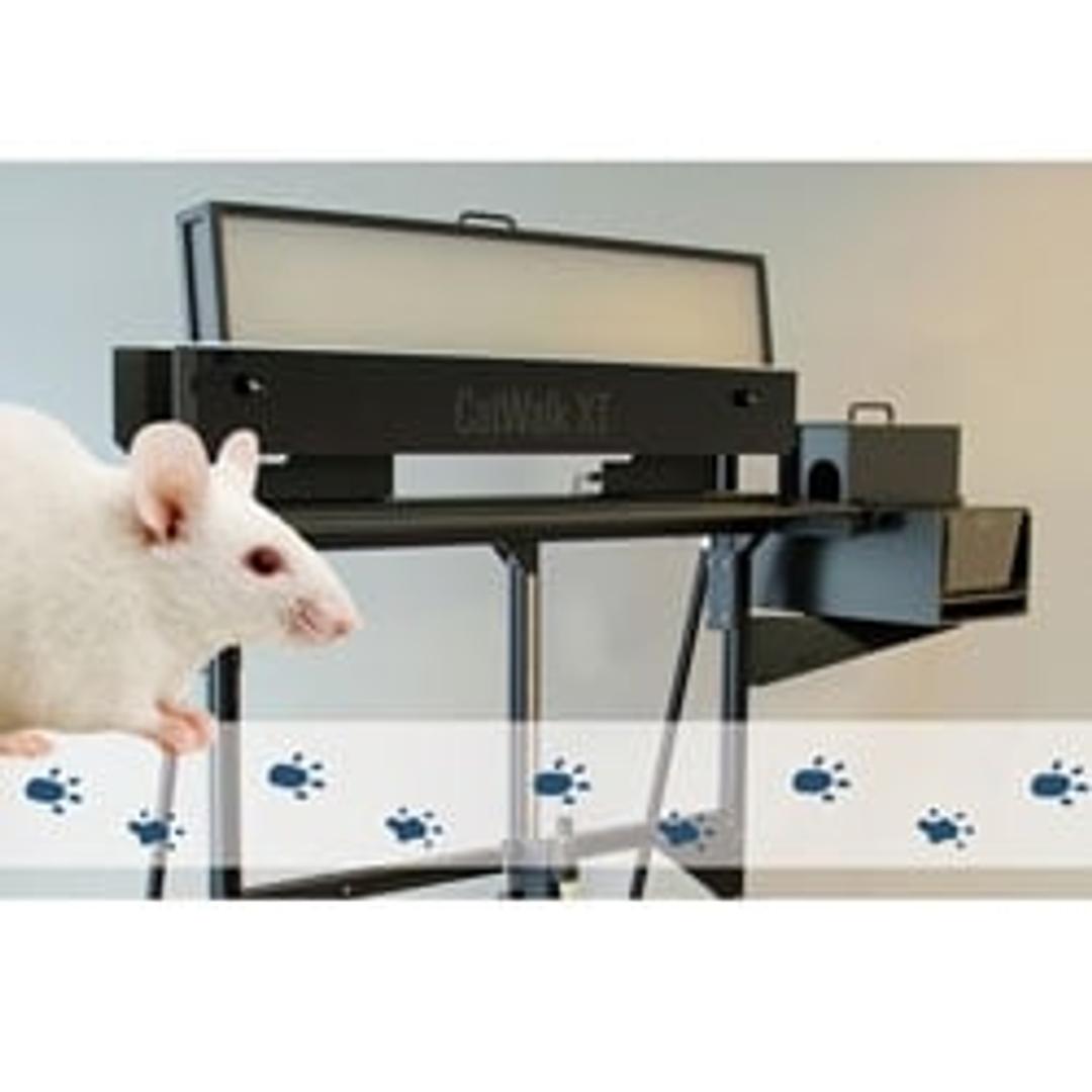 CatWalkTM XT - Noldus Information Technology Inc.
