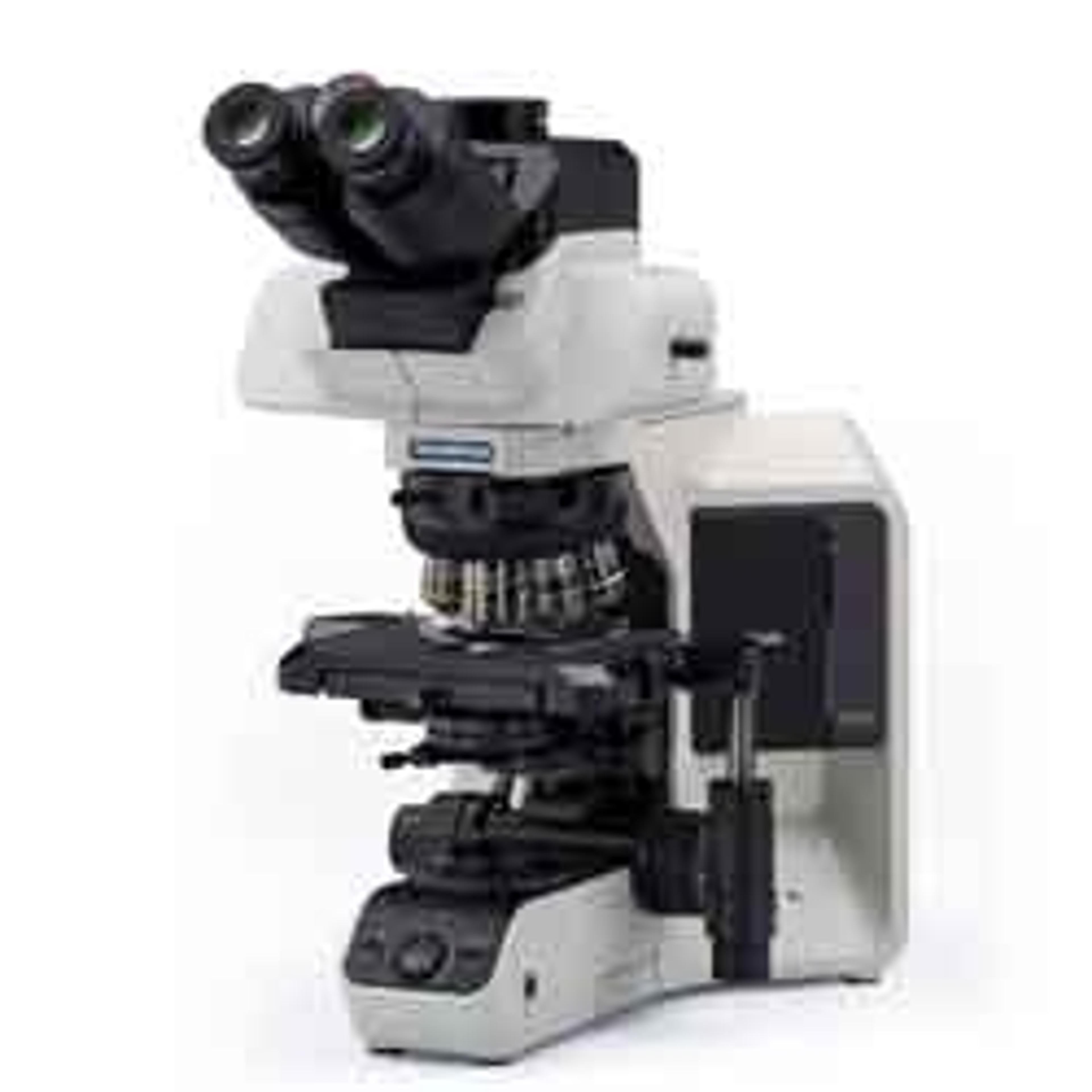 BX53 Semi-Motorized Upright Microscope - EVIDENT - Life Sciences