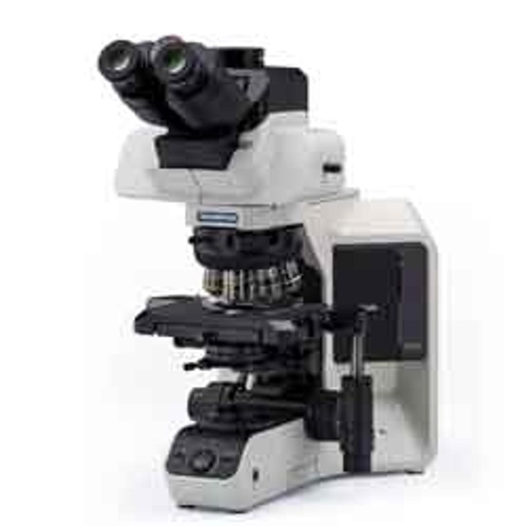 BX53 Semi-Motorized Upright Microscope - EVIDENT - Life Sciences