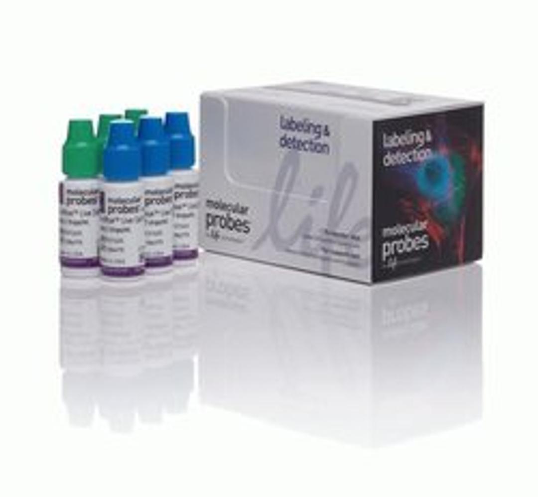 Invitrogen™ ReadyProbes™ Cell Viability Imaging Kit, Blue/Green - Thermo Fisher Scientific - Life Sciences