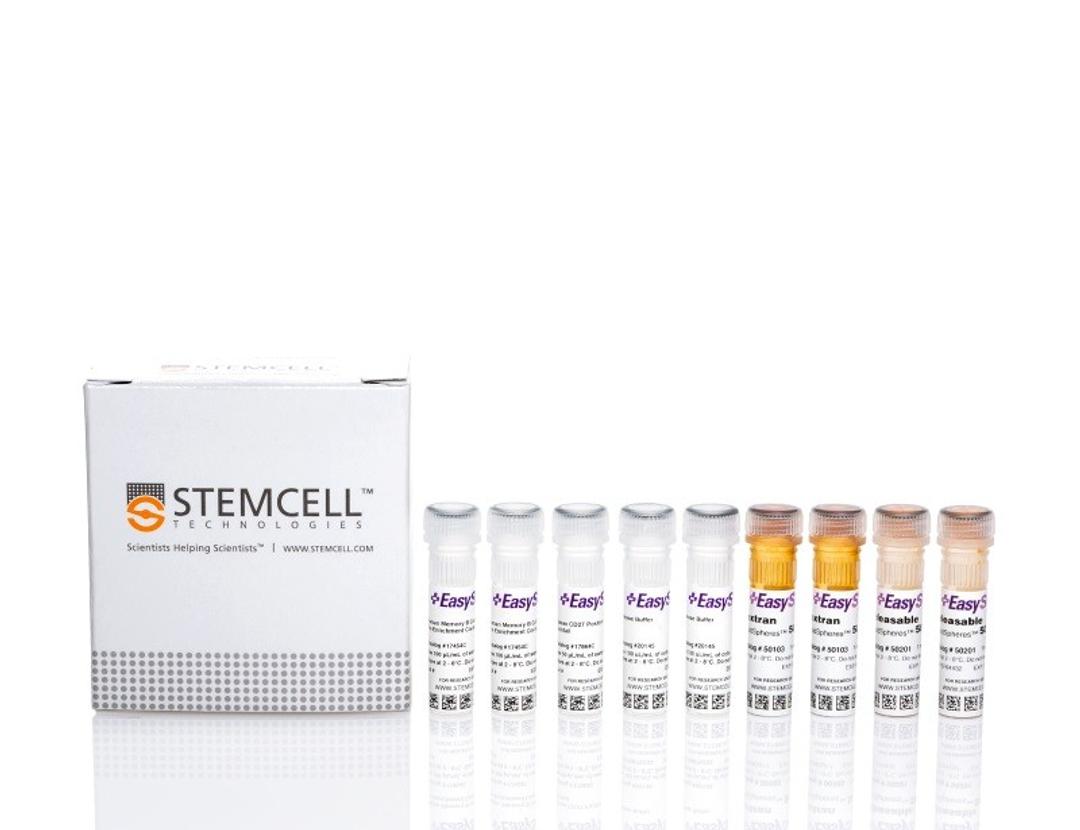 EasySep™ Human Memory B Cell Isolation Kit - STEMCELL Technologies Inc. - Life Sciences