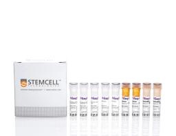 EasySep™ Human Memory B Cell Isolation Kit - STEMCELL Technologies Inc. - Life Sciences