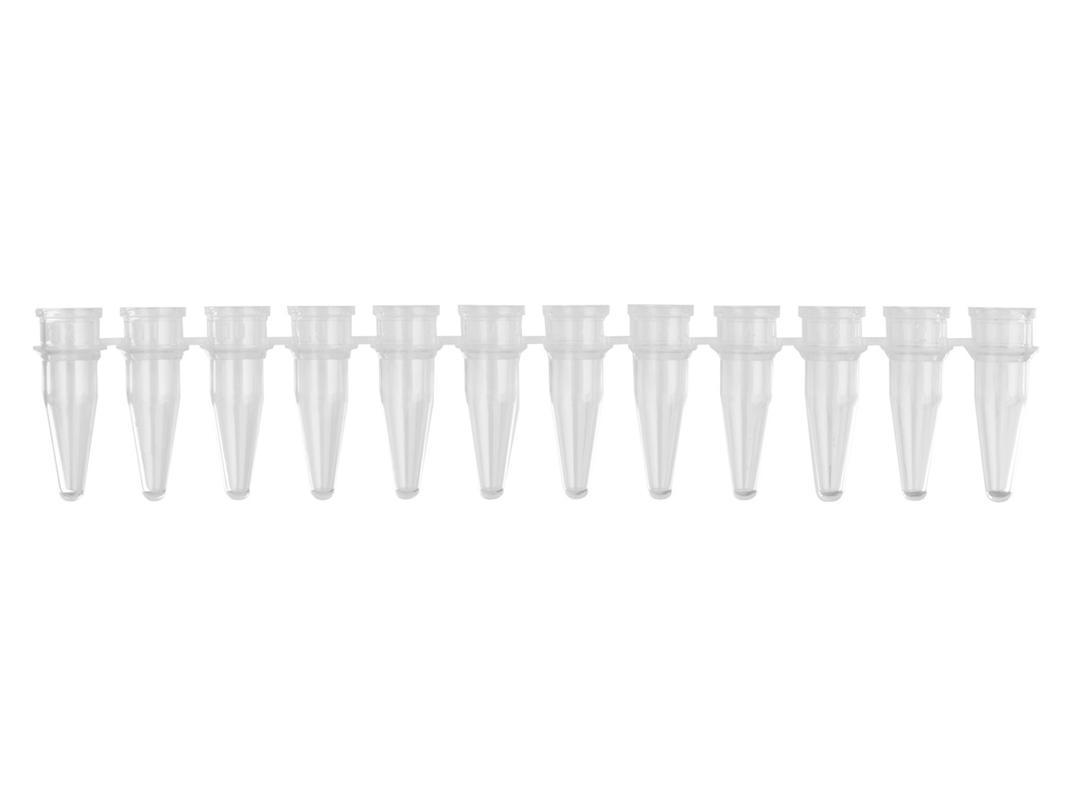 Axygen® 0.2 mL Polypropylene PCR Tube Strips, 12 Tubes/Strip, Clear, Nonsterile - Corning Life Sciences - Life Sciences