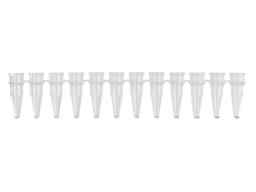 Axygen® 0.2 mL Polypropylene PCR Tube Strips, 12 Tubes/Strip, Clear, Nonsterile - Corning Life Sciences - Life Sciences