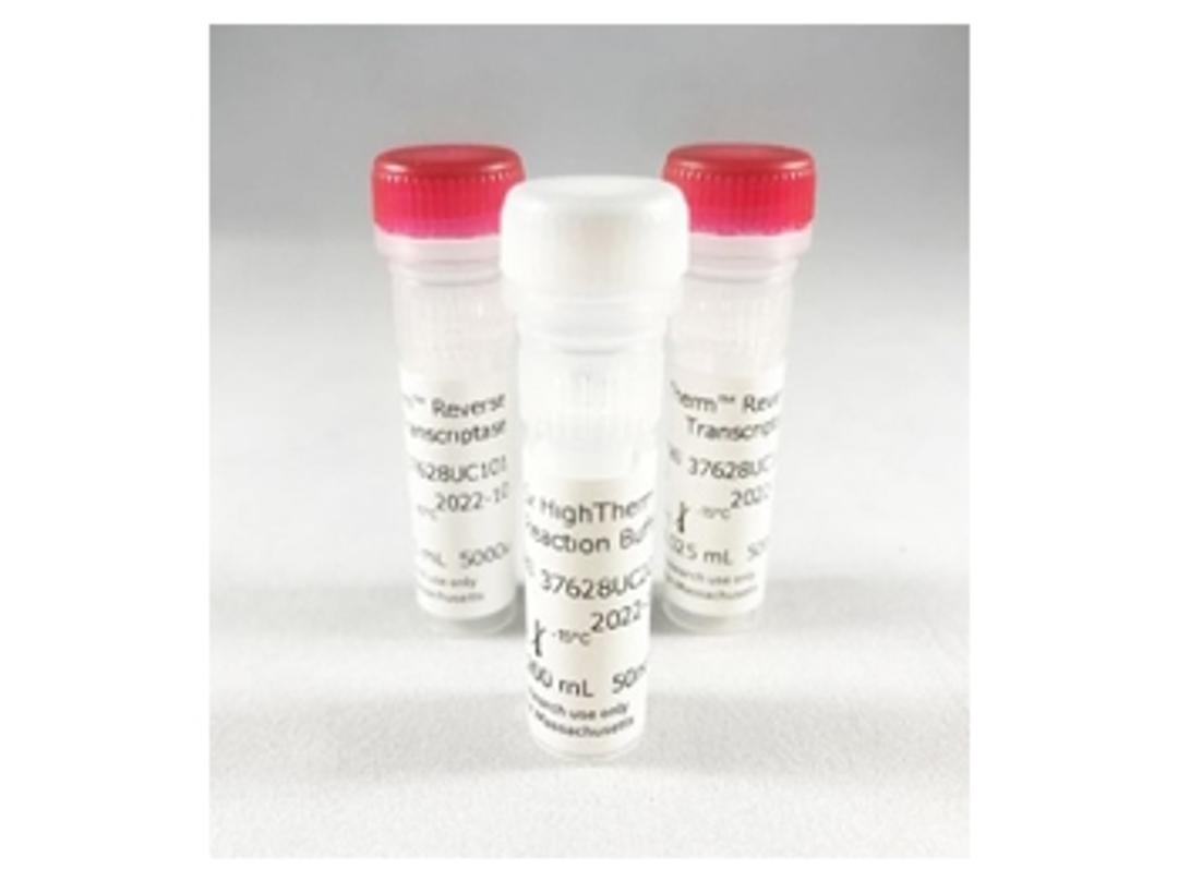 HighTherm™ Reverse Transcriptase - Azura Genomics Inc. - Life Sciences
