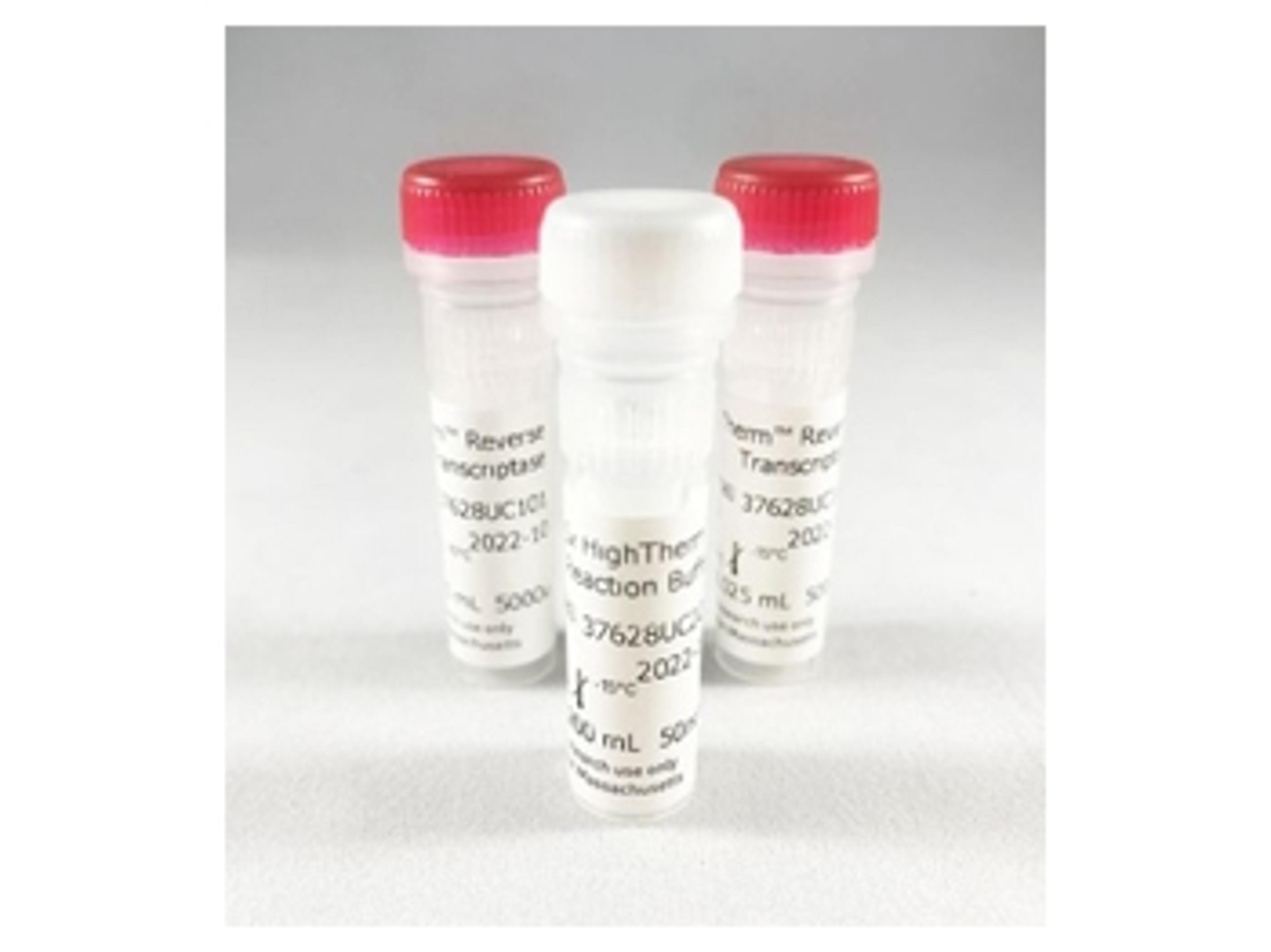 HighTherm™ Reverse Transcriptase - Azura Genomics Inc. - Life Sciences