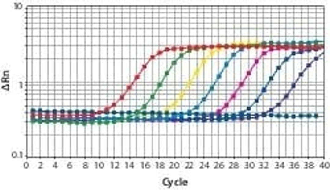 SYBR® Green JumpStart™ Taq ReadyMix™ - Merck KGaA, Darmstadt, Germany - Life Sciences
