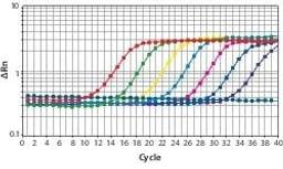 SYBR® Green JumpStart™ Taq ReadyMix™ - Merck KGaA, Darmstadt, Germany - Life Sciences
