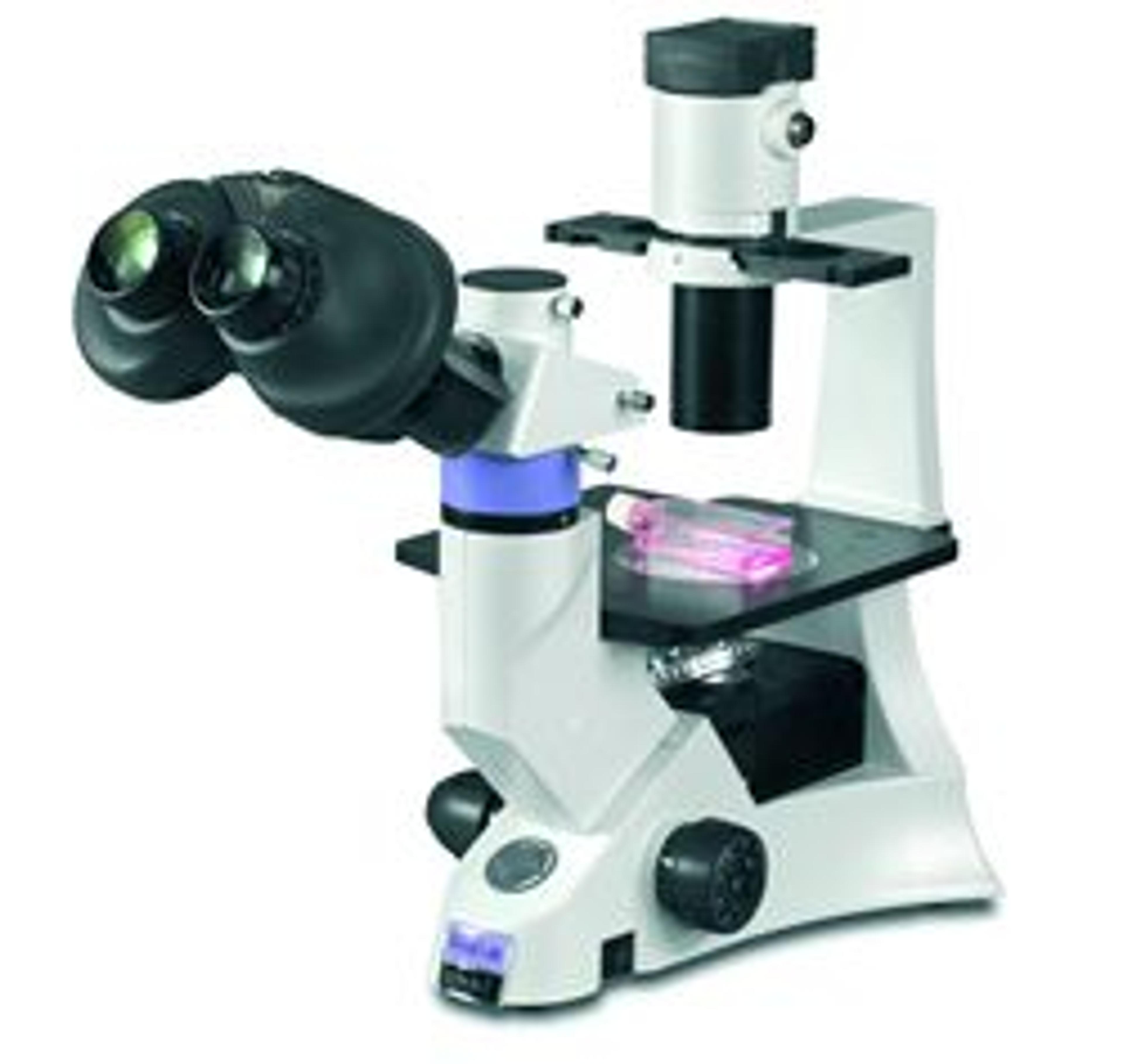 DX61 Inverted Routine Microscope - Vision Biomed - Spectroscopy