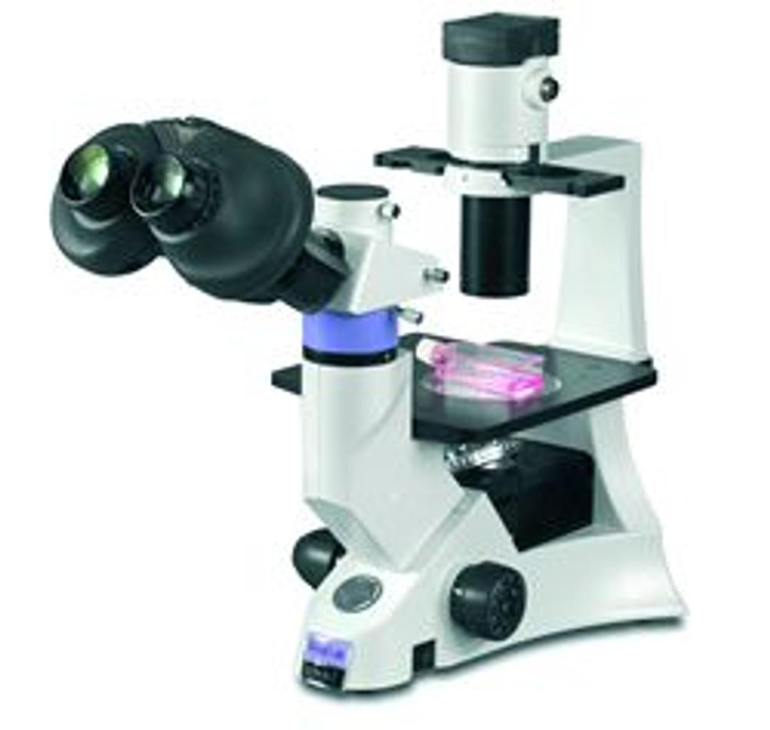 DX61 Inverted Routine Microscope - Vision Biomed - Spectroscopy