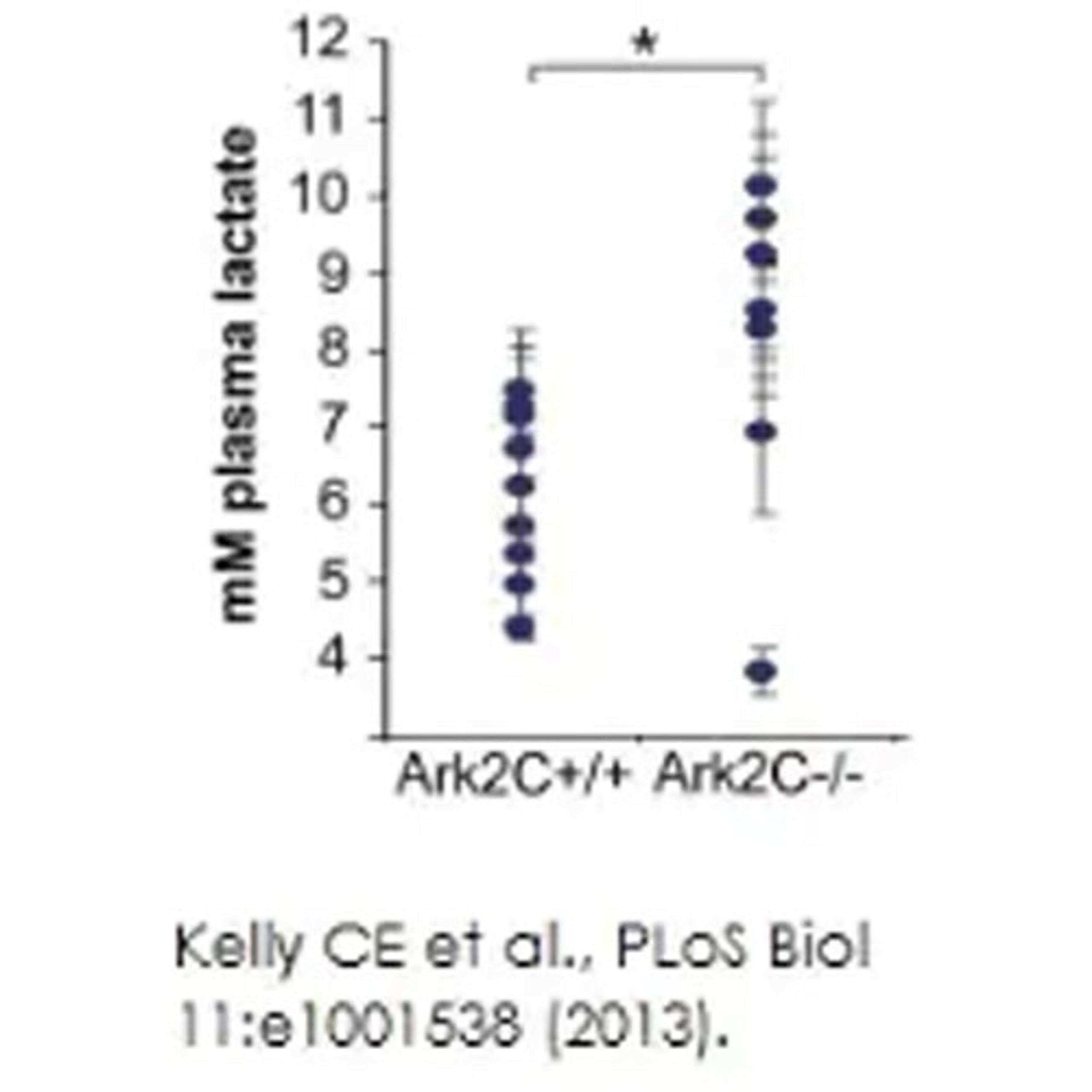 L-Lactate Assay Kit - Abcam plc - Life Sciences