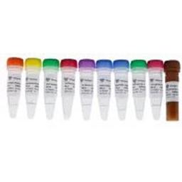 VAHTS Universal V8 RNA-seq Library Prep Kit for Illumina - Vazyme Biotech Co., Ltd - Life Sciences