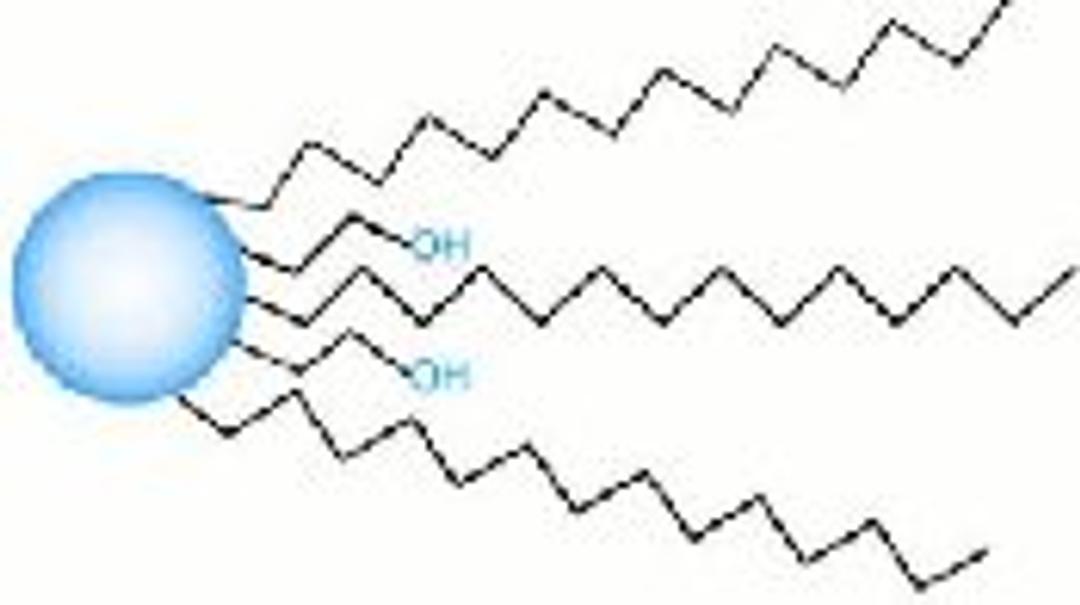 AQUASIL C18 Columns - Thermo Fisher Scientific - Separations