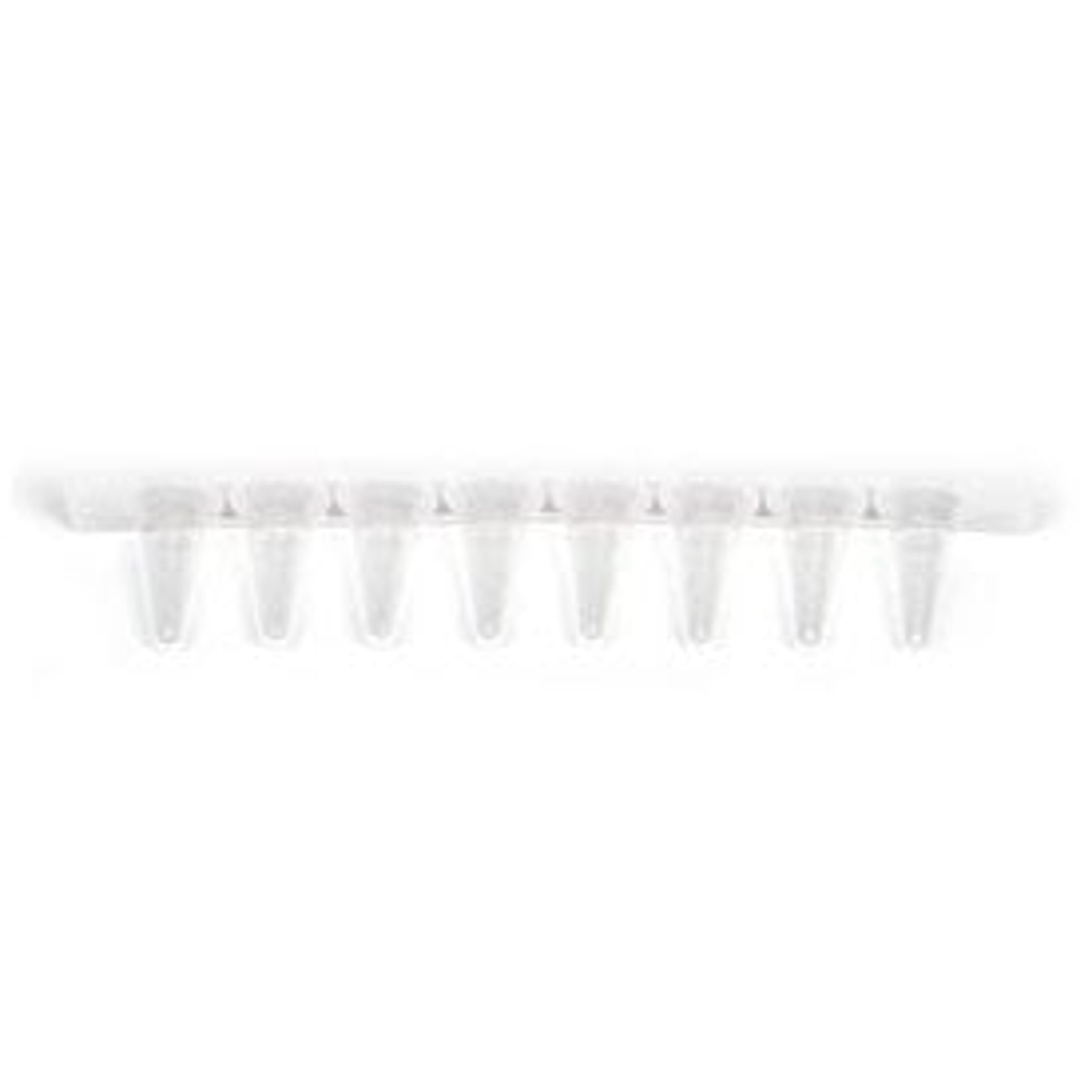 0.2 ml 8-Tube PCR Strips without Caps, low profile, clear - Bio-Rad - Life Sciences