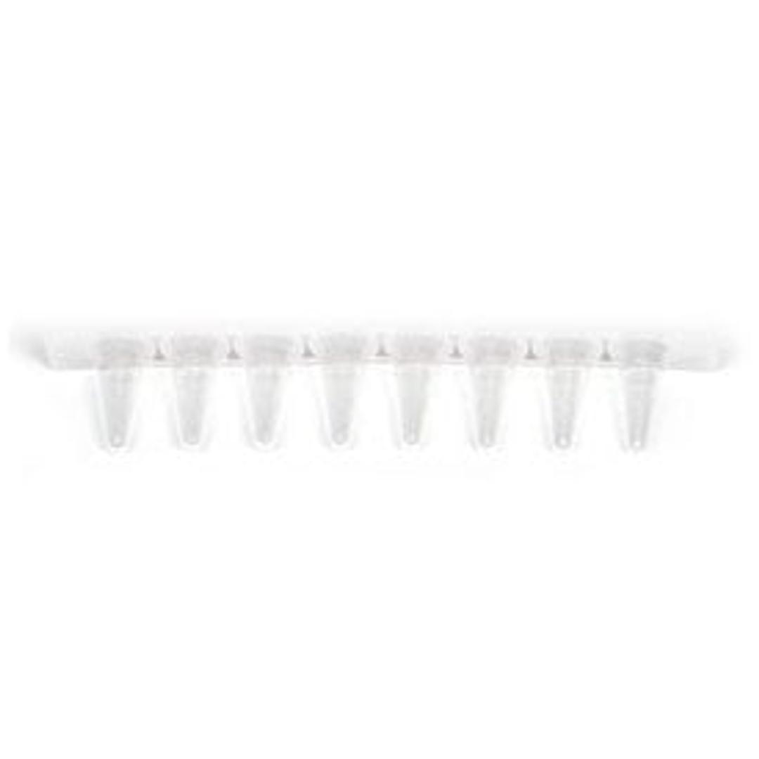 0.2 ml 8-Tube PCR Strips without Caps, low profile, clear - Bio-Rad - Life Sciences