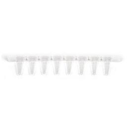 0.2 ml 8-Tube PCR Strips without Caps, low profile, clear - Bio-Rad - Life Sciences