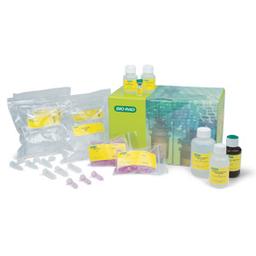Aurum™ Total RNA Fatty and Fibrous Tissue Kit - Bio-Rad - Life Sciences