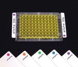 SealPlate® Microplate Sealing Film with ColorTab for ELISA, EIA, Incubation & Storage, Blue - Excel Scientific, Inc. - Life Sciences